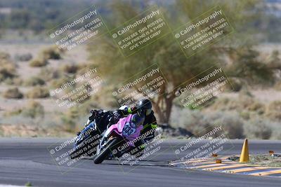 media/Apr-14-2024-SoCal Trackdays (Sun) [[70f97d3d4f]]/1-Turn 5 Tree of Life (920am)/